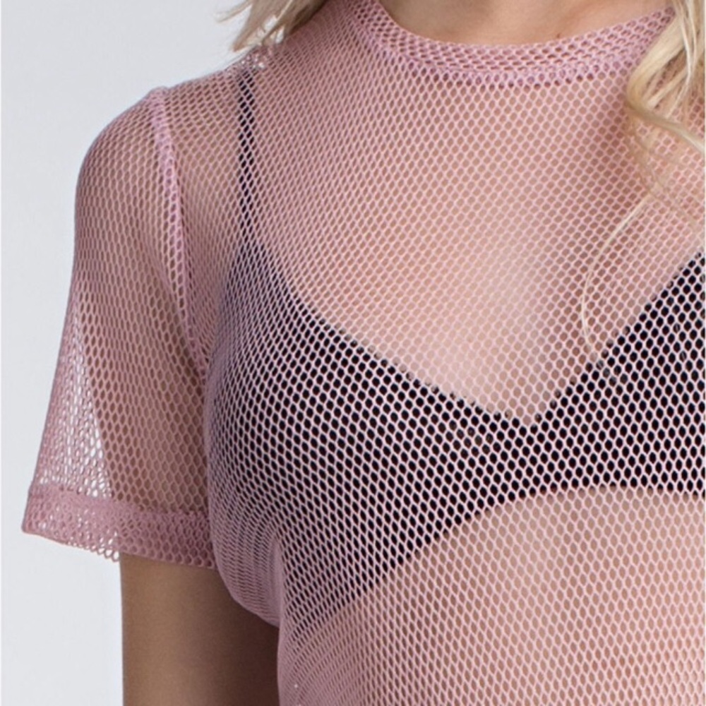 Honey Punch Sheer Fishnet Mesh Cropped Top In Pink - Picture 2 of 8